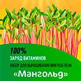Набор для выращивания микрозелени "Мангольд" 5 гр.