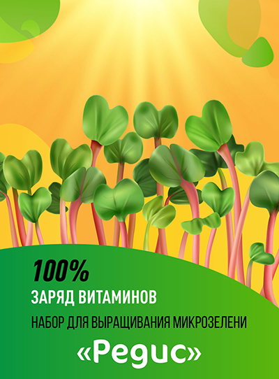 Набор для выращивания микрозелени 