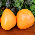 Томат Сердце Великана Оранжевое (0,05 гр)