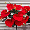 Искусственные цветы "Антуриум красный" 14 бутонов (H-60 см) 1 шт.