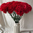 Искусственные цветы "Гвоздики красные" (H-60 см) 25 шт.