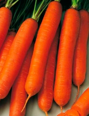 Морковь Нандрин F1 (100 шт.)
