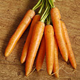 Морковь Хруста (2 гр.)