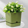 Горшок для цветов с поддоном "Квадро" (1,5 л) зелёный