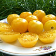 Томат Дынный коктейль (0,1 гр.)
