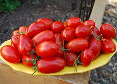 Семена томатов Каскад коралловый (0,05 гр)