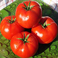 Томат Акулина (0,05 гр)