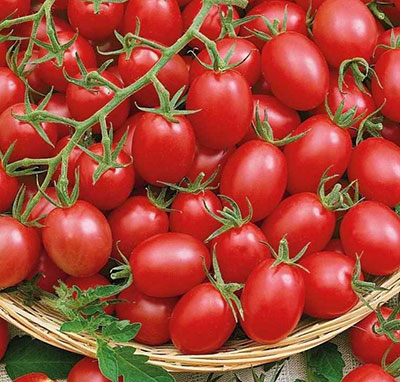 Семена томатов Розовый бутон (0,05 гр) Семена томатов Розовый бутон (0,05 гр)