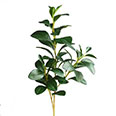 Искусственная веточка "Вечнозелёное дерево" (H-75 см) 1 ветка