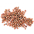 Семена микрозелени для набора "Редис" (5 гр.)