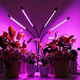 Фитолампа для растений с 4-мя светильниками (3 режима свечения)