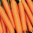 Дражированные семена - Морковь Нантская 4 (300 шт.)