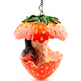 Кормушка "Клубничка с птичкой" (14,5х14х17см)