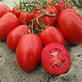 Томат Кубань (0,1 гр.)
