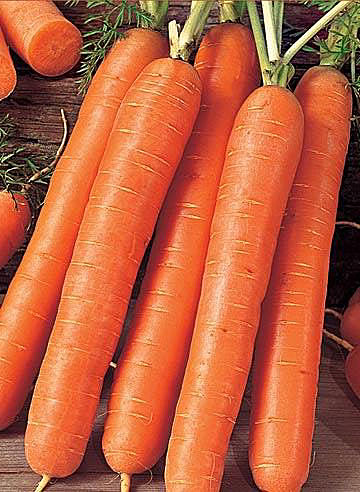 Морковь Витаминная 6 (2 гр.)