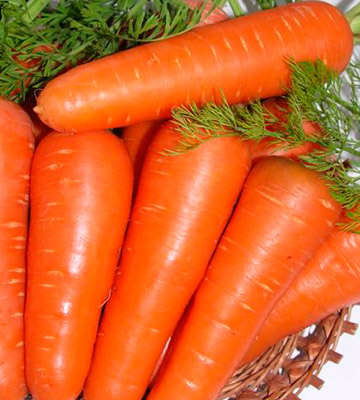 Морковь Абако F1 (0,5 гр.)