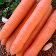 Морковь Нанте (2 гр.)