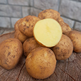 Семенной картофель "Метеор" (3 кг) (Супер элита)