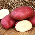Семенной картофель "Маяк" (3 кг) (Супер элита)