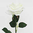 Искусственные декоративные цветы - Роза белая (h-68см)