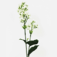 Искусственные декоративные цветы - Сирень белая (h-68см)