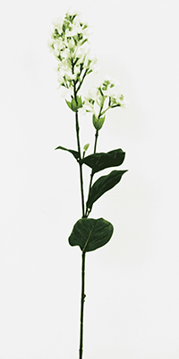 Искусственные декоративные цветы - Сирень белая (h-68см)