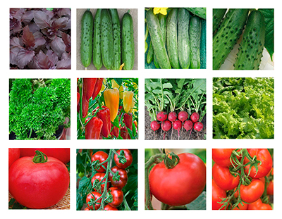 Набор семян овощей 