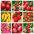 Набор семян томатов "Помидорка для засолки"